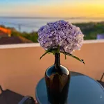 1br Hills Over Ponta Do Sol, Sea View Apartment *