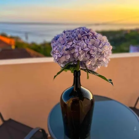1br Hills Over Ponta Do Sol, Sea View Apartmán *