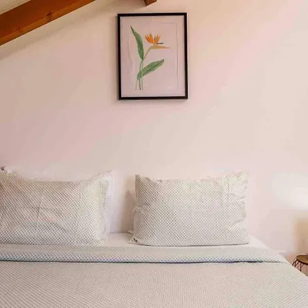 1br Hills Over Ponta Do Sol, Sea View Apartment Ponta do Sol (Madeira)