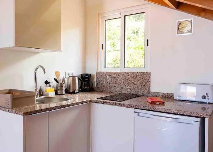 Διαμέρισμα 1br Hills Over Ponta Do Sol, Sea View